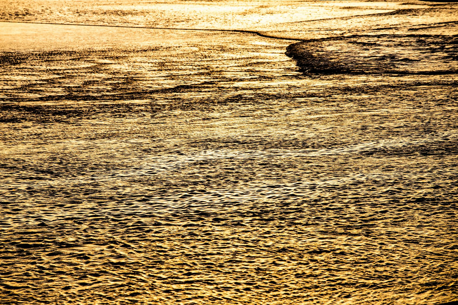 Rippling water surface reflecting a golden sunset, capturing serene and calm beauty at dusk.
