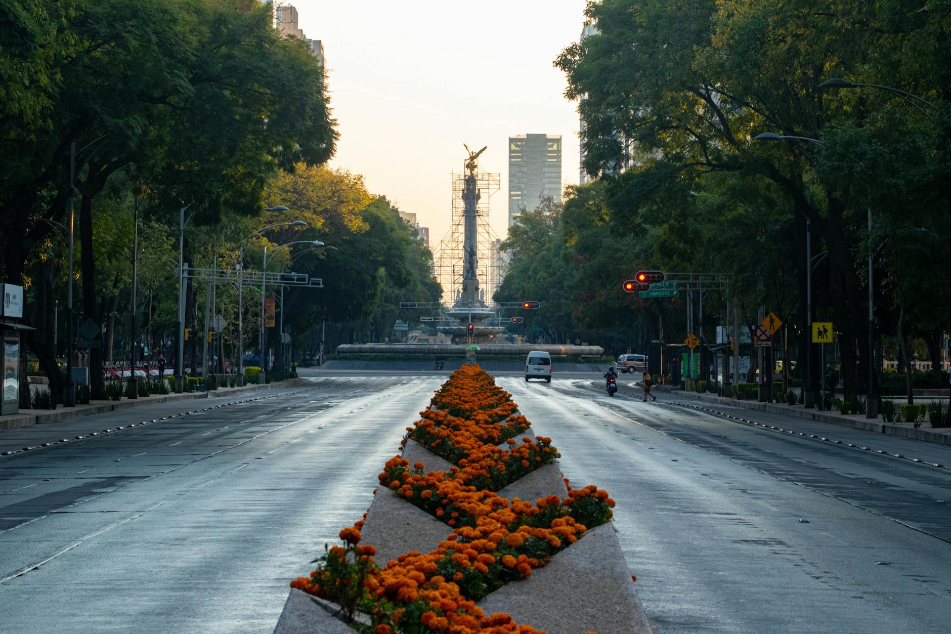Paseo de la Reforma empty street view with Angel of Independence monument and vibrant flowers.