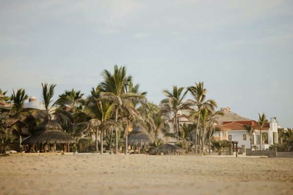 Fraude em Licitações do Minha Casa, Minha Vida Revelada Tranquil beach scene with palm trees and villas at Casa Cyrene, Baja California Sur, Mexico.