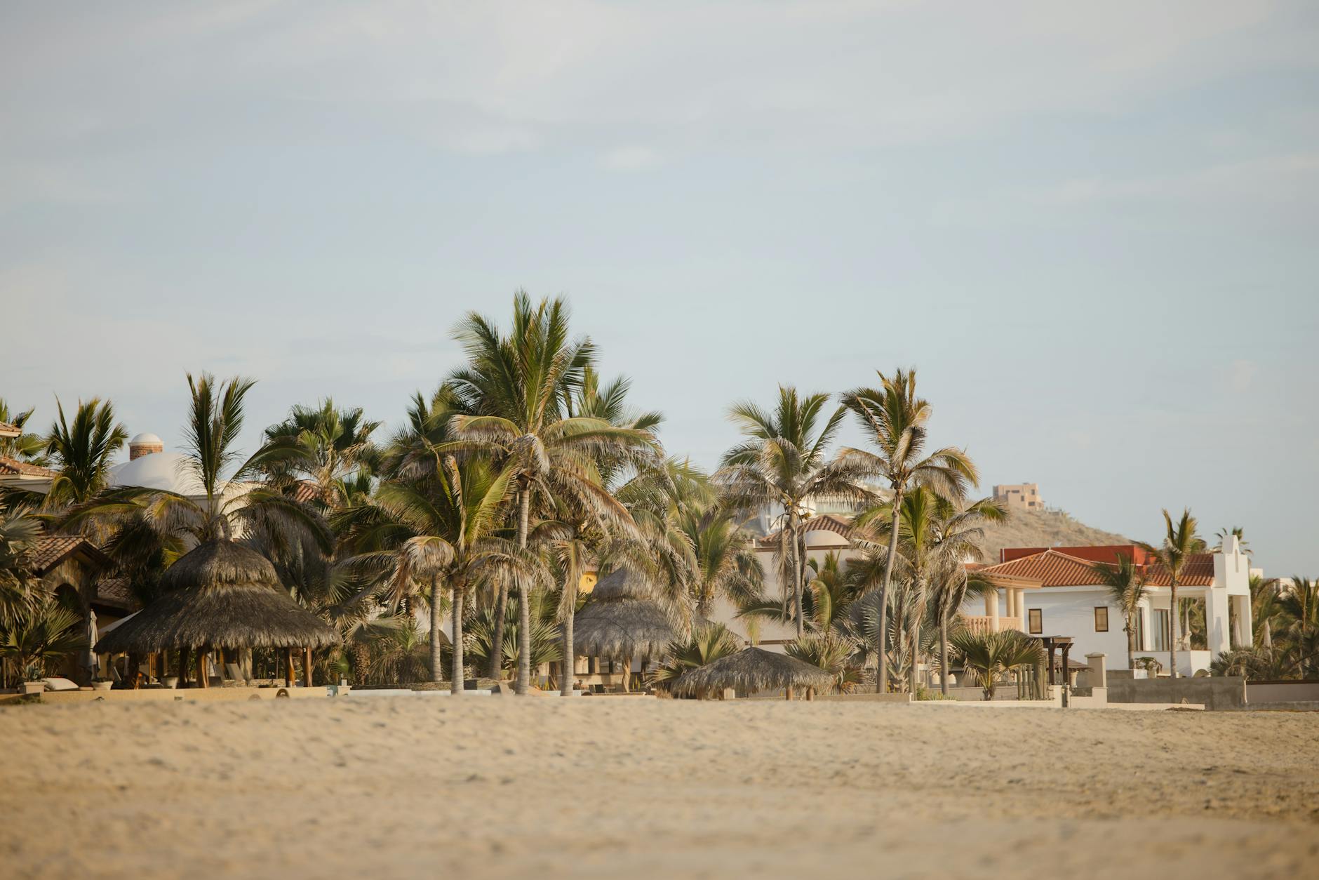Tranquil beach scene with palm trees and villas at Casa Cyrene, Baja California Sur, Mexico.
