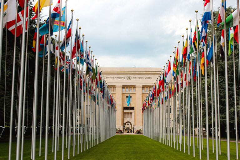 Reunião de negociação internacional de saúde pública na ONU